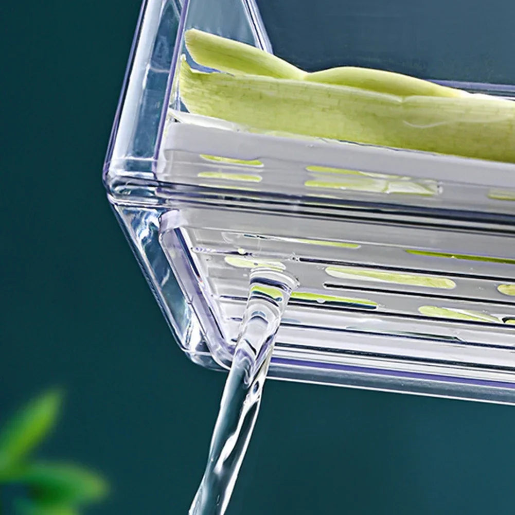 Organizador de Refrigerador